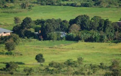 Der neue Rundbrief 2019-8 ist da