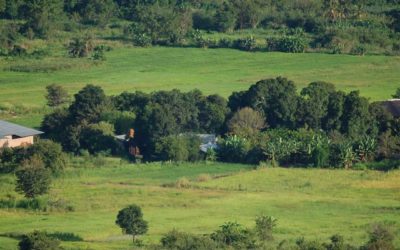Drohnenflug über das Projekt